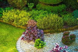 2026美加墨世界杯官网 东台园林绿化处入围名单