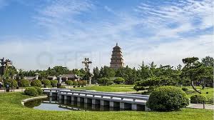 绿化工程在哪里采购好一点